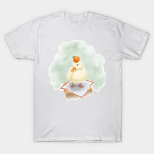 鸭子与苹果 duck and apple T-Shirt